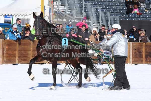 ET0Q0579 prot